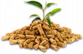 Rubber Acacia Wood Pellets 6mm FSC COC For Japan High Quality Wood Pellets 4