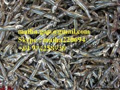 Dried Anchovy Sprat Vietnam High Quality