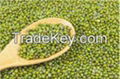 Green Mung Bean