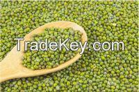 Green Mung Bean