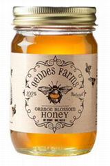 Orange Blossom Honey