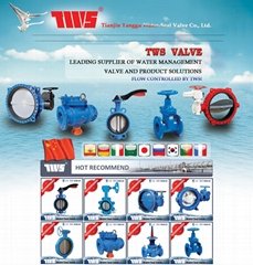 Tianjin Tanggu Water-seal valve Co., Ltd.