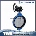 DN40-1200 worm gear operated butterfly valve
