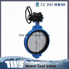 DN40-1200 worm gear operated butterfly valve