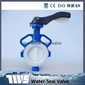 TWS-FD PTFE lug butterfly valve 1