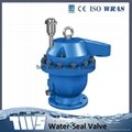 GPQW4X air releasing valve