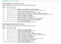 Naming rules for AC servo drives