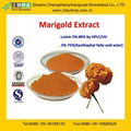 GMP Certified Factory Supply High Quality 2%-80% Marigold Extract/Lutein 1