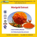 GMP Certified Factory Supply High Quality 2%-80% Marigold Extract/Lutein 4