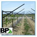 perfortaed high quality steel vineyard U type post 1