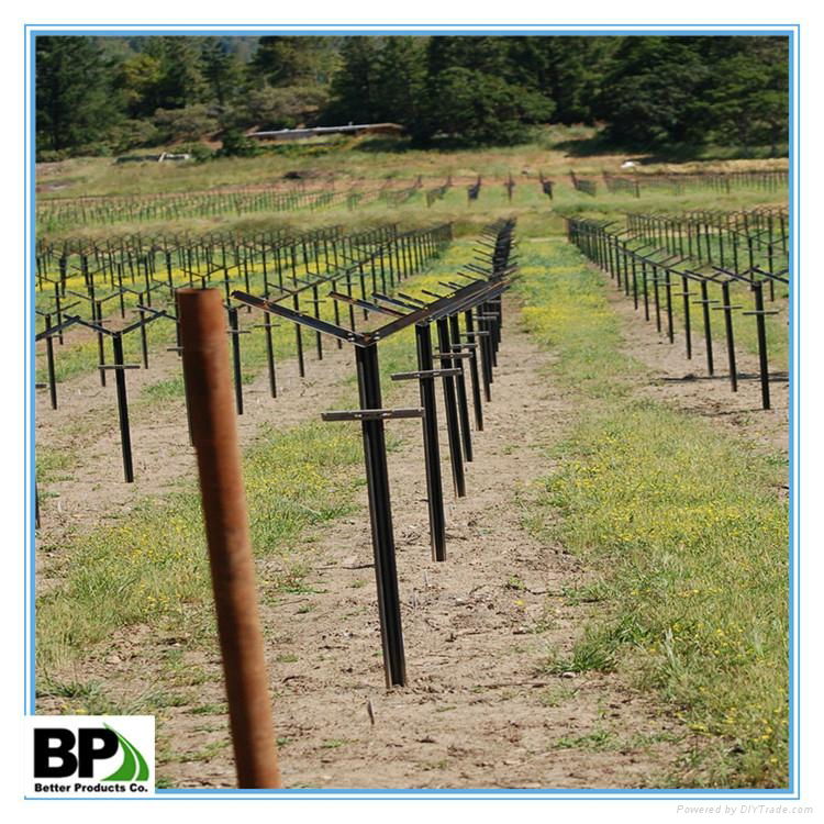 perfortaed high quality steel vineyard U type post 4