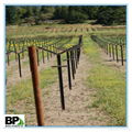 perfortaed high quality steel vineyard U type post 4