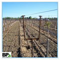 perfortaed high quality steel vineyard U type post 5