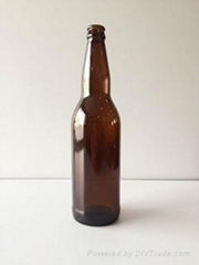 glass beer bottle