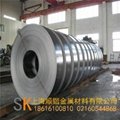 上海顺锴供应太钢优质纯铁 1