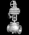 Cage control valve 1