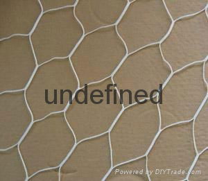 Hexahedral PE knotless Football Net