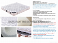 Sanci mattresses