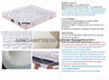 SANCI Brand professional Mattresses