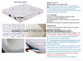 Sanci mattresses