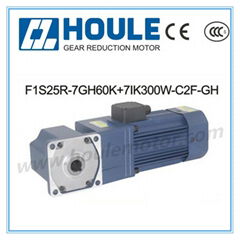 7GH Gear Reduction Motor