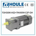 7GH Gear Reduction Motor 2