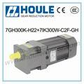 7GH Gear Reduction Motor 4