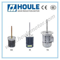 High Temperature Resistant Motor