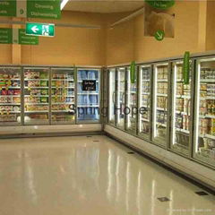 Auto-Defrost glass door supermarket refrigerator speed-frozen food refrigerator