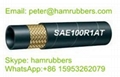 SAE 100R1AT/DIN EN853 1SN Wire Braided Hydraulic Hose