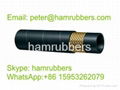 Steam Hose