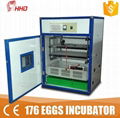 full automatic 176 chicken  egg