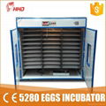 larger capacity 9856 eggs commercial