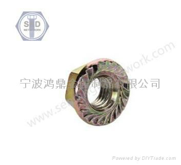 DIN 6923 Flange Nuts with Threaded Connection Flange 2