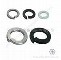 Spring Washers DIN127 Washer 3