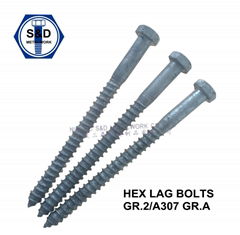 Grade2/A307 Gr. a Hex Lag Bolts Hex Lag Wood Bolts