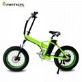 350W Electric Cruiser/Snow Bike with 4.0 Fat tyre 2