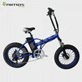 350W Electric Cruiser/Snow Bike with 4.0 Fat tyre 3