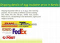 Alibaba express 110V/220V used cheap egg incubator price in Kerala YZ-88 5