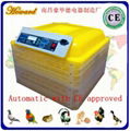 Good quality incubator machine price