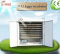 Factory supply automatic turtle egg