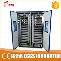 Electrical thermostat incubator
