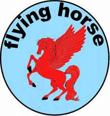 GUANGZHOU FLYING HORSE TRADING COMPANY LIMITED