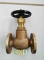 JIS marine bronze globe valve 5K 2