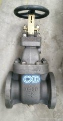 marine cast iron gate valves JIS