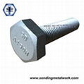 Structural Heavy Hex Bolts ASTM A490 1