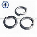 DIN127 Spring Washers  1