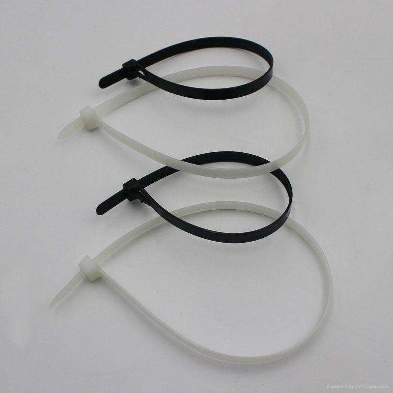 Nylon self lock  cable tie 2
