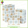 Customized Printing Christmas Gift Paper Bag 5