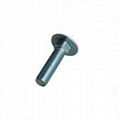 High Tensile DIN603 Carriage Bolts